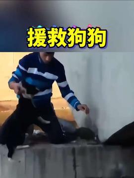 莆田小孩爆料事件最新,揭开校园霸凌背后的真相 第3张 莆田小孩爆料事件最新,揭开校园霸凌背后的真相 第3张