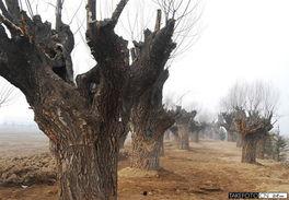 西安湿地公园爆料视频,自然美景引网友热议